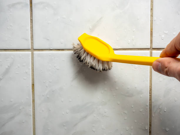 Best Black Mold Remediation in Norwood, OK