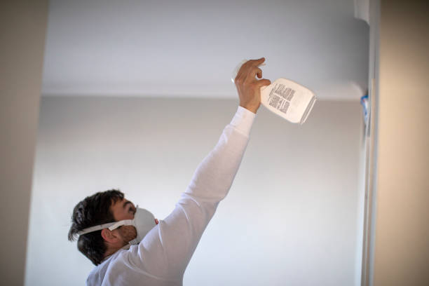 Best Mold Testing and Inspection Services in Norwood, OK