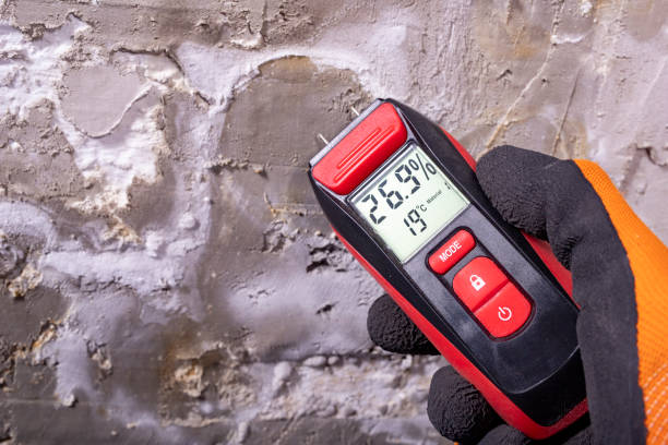 Best Kitchen Mold Remediation in Norwood, OK